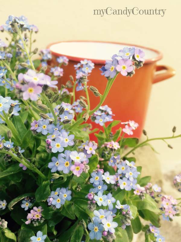 Fare vasi fioriti riciclando vecchi oggetti da cucina creatività metallo Primavera fai da te 