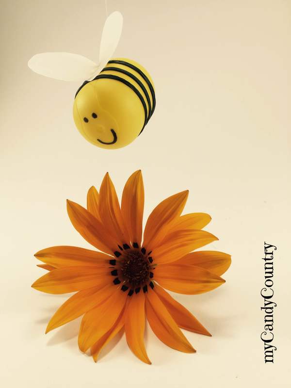 Riciclo Creativo: una simpatica ape nasce dai porta sorpresine bambini plastica Riciclo Creativo 