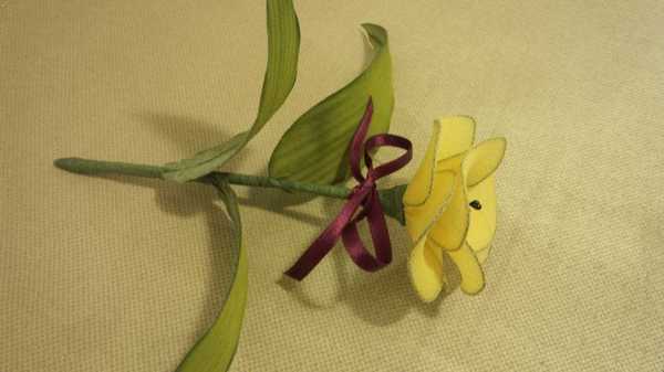 Festa della Donna creativa: come fare un fiore con le calze di nylon colorate creativapp home decor plastica Riciclo Creativo 
